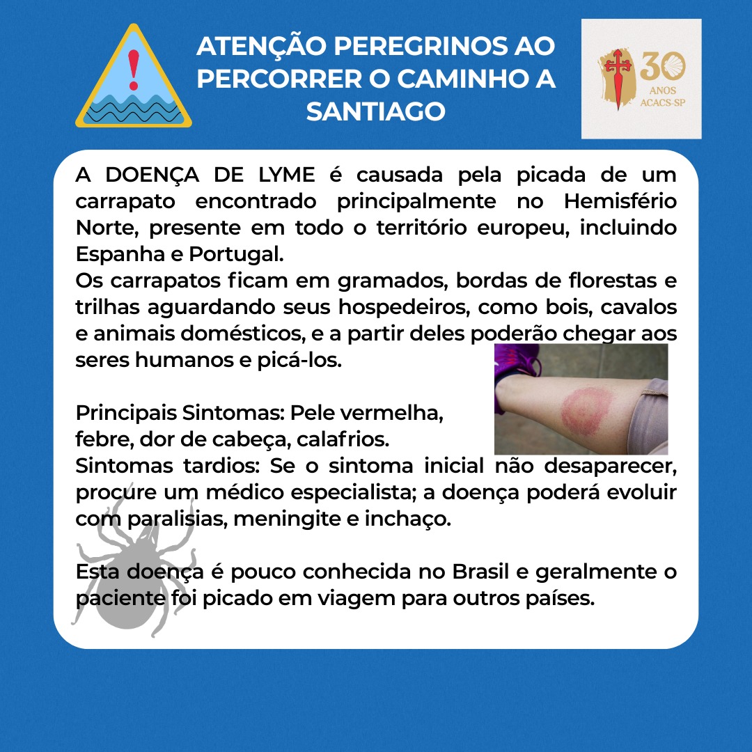 202604 doenca lyme